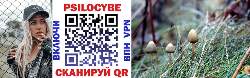 Псилоцибиновые грибы MAGIC MUSHROOMS  Купить закладки  Починок 